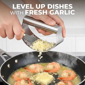 Kitchen Stainless Steel Garlic Press Rocker Set - Time Saving (Material: Stainless Steel)